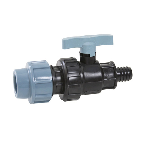 ���� �����. ��� 20 � � 20 ������ �� ����� ITAL