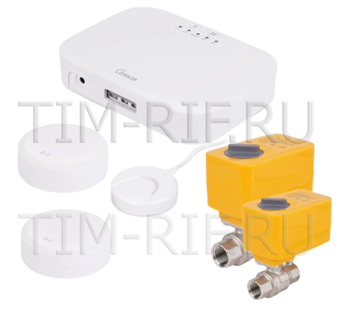 ������ ������� TUYA 1/2 (12�) ZEISSLER ������