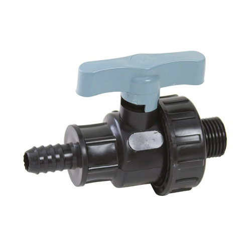 ���� �����. ��� 1" � � 25 ������ �� ����� ITAL