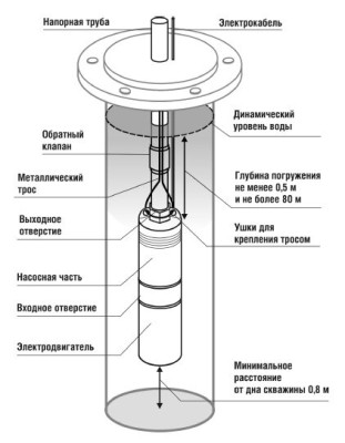 ����� ���������� ��������� ������������ TF3 -60 (3", 220�, 800��, 2700�/�, 60�) ������ 35 �. BELAMOS