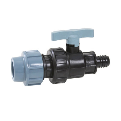 ���� �����. ��� 20 � � 14 ������ �� ����� ITAL