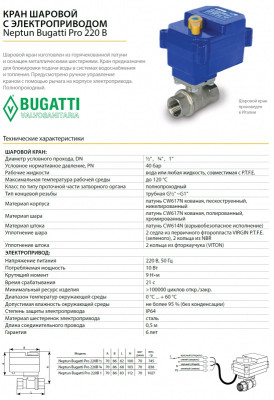 ���� ������� � ��������������� Neptun Bugatti Pro 220� 1" ������ ������