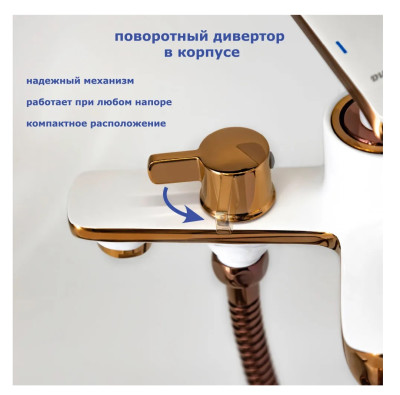 ��������� ��� ����� ���� ����� � ������� ������� �������� ��� Accoona A63123GR ������ � ������